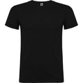 Solid Black - Front - Roly Mens Beagle Short-Sleeved T-Shirt