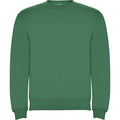 Kelly Green - Front - Roly Unisex Adult Clasica Crew Neck Sweatshirt