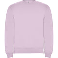 Light Pink - Front - Roly Unisex Adult Clasica Crew Neck Sweatshirt