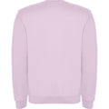 Light Pink - Back - Roly Unisex Adult Clasica Crew Neck Sweatshirt