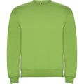 Oasis Green - Front - Roly Unisex Adult Clasica Crew Neck Sweatshirt