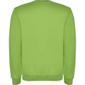 Oasis Green - Back - Roly Unisex Adult Clasica Crew Neck Sweatshirt