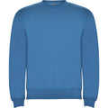 Ocean Blue - Front - Roly Unisex Adult Clasica Crew Neck Sweatshirt