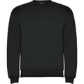 Dark Lead - Front - Roly Unisex Adult Clasica Crew Neck Sweatshirt