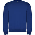 Royal Blue - Front - Roly Unisex Adult Clasica Crew Neck Sweatshirt