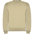 Sand - Front - Roly Unisex Adult Clasica Crew Neck Sweatshirt