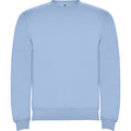 Sky Blue - Front - Roly Unisex Adult Clasica Crew Neck Sweatshirt