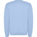 Sky Blue - Back - Roly Unisex Adult Clasica Crew Neck Sweatshirt