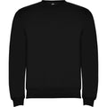 Solid Black - Front - Roly Unisex Adult Clasica Crew Neck Sweatshirt