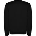 Solid Black - Back - Roly Unisex Adult Clasica Crew Neck Sweatshirt