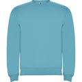 Turquoise - Front - Roly Unisex Adult Clasica Crew Neck Sweatshirt