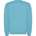 Turquoise - Back - Roly Unisex Adult Clasica Crew Neck Sweatshirt