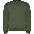 Venture Green - Front - Roly Unisex Adult Clasica Crew Neck Sweatshirt