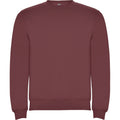 Berry Red - Front - Roly Unisex Adult Clasica Crew Neck Sweatshirt