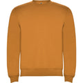 Curry Yellow - Front - Roly Unisex Adult Clasica Crew Neck Sweatshirt