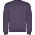 Lilac - Front - Roly Unisex Adult Clasica Crew Neck Sweatshirt