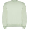 Mist Green - Front - Roly Unisex Adult Clasica Crew Neck Sweatshirt