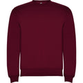 Garnet - Front - Roly Unisex Adult Clasica Crew Neck Sweatshirt