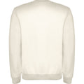 Vintage White - Back - Roly Unisex Adult Clasica Crew Neck Sweatshirt