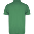 Kelly Green - Back - Roly Unisex Adult Austral Short-Sleeved Polo Shirt