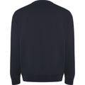 Navy Blue - Back - Roly Unisex Adult Batian Crew Neck Sweatshirt