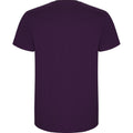 Purple - Back - Roly Mens Stafford T-Shirt