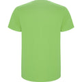 Oasis Green - Back - Roly Mens Stafford T-Shirt