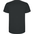 Dark Lead - Back - Roly Mens Stafford T-Shirt