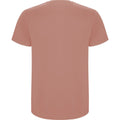 Clay Orange - Back - Roly Mens Stafford T-Shirt