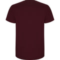 Garnet - Back - Roly Mens Stafford T-Shirt