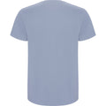 Zen Blue - Back - Roly Mens Stafford T-Shirt