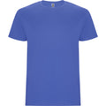 Riviera Blue - Front - Roly Mens Stafford T-Shirt