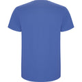 Riviera Blue - Back - Roly Mens Stafford T-Shirt