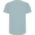 Washed Blue - Back - Roly Mens Stafford T-Shirt