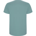 Dusty Blue - Back - Roly Mens Stafford T-Shirt