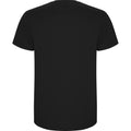 Solid Black - Back - Roly Mens Stafford T-Shirt