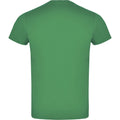 Kelly Green - Back - Roly Unisex Adult Atomic T-Shirt