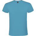 Turquoise - Front - Roly Unisex Adult Atomic T-Shirt