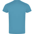 Turquoise - Back - Roly Unisex Adult Atomic T-Shirt