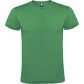 Kelly Green - Front - Roly Unisex Adult Atomic T-Shirt