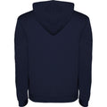 Navy Blue-Grey Marl - Back - Roly Mens Urban Hoodie