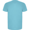 Turquoise - Back - Roly Childrens-Kids Imola Short-Sleeved Sports T-Shirt