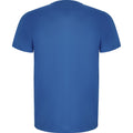 Royal Blue - Back - Roly Childrens-Kids Imola Short-Sleeved Sports T-Shirt