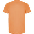 Fluorescent Orange - Back - Roly Childrens-Kids Imola Short-Sleeved Sports T-Shirt