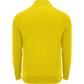 Yellow - Back - Roly Childrens-Kids Epiro Quarter Zip Long-Sleeved Sweatshirt