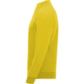 Yellow - Lifestyle - Roly Childrens-Kids Epiro Quarter Zip Long-Sleeved Sweatshirt