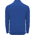 Royal Blue - Back - Roly Unisex Adult Epiro Quarter Zip Long-Sleeved Sweatshirt