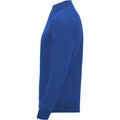 Royal Blue - Side - Roly Unisex Adult Epiro Quarter Zip Long-Sleeved Sweatshirt