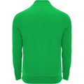 Fern Green - Back - Roly Unisex Adult Epiro Quarter Zip Long-Sleeved Sweatshirt