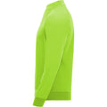 Fluro Green - Side - Roly Unisex Adult Epiro Quarter Zip Long-Sleeved Sweatshirt